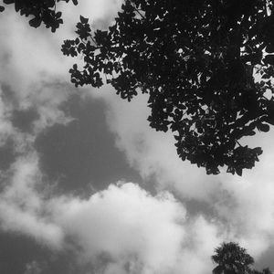 Meet your Posher, Diego